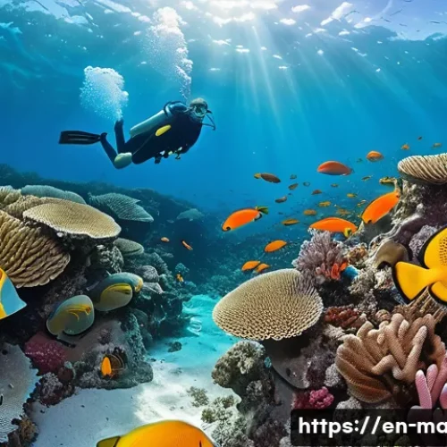 Home 28 모리셔스 블루 베이 해양 공원 - A vibrant underwater scene showcasing a diverse coral reef garden with clear visibility exceeding 20...
